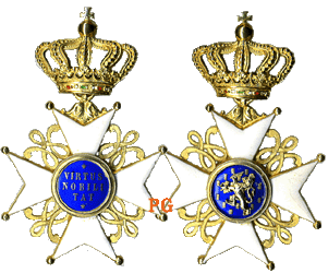 Het borstkruis van een Commandeur in de Orde van de Nederlandse Leeuw